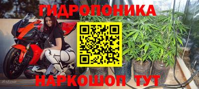 крисы Рязань