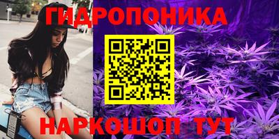 крисы Рязань